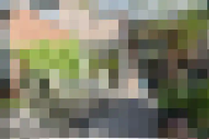 Molecaten 50 Barneveld thumbnail 25