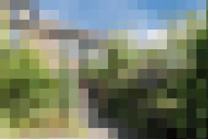 Molecaten 50 Barneveld thumbnail 27