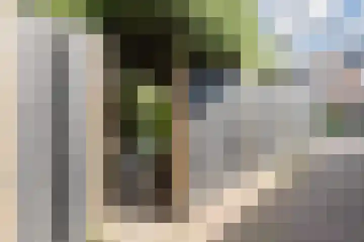Molecaten 50 Barneveld thumbnail 28