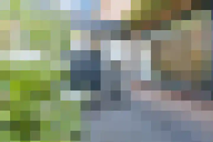 Molecaten 50 Barneveld thumbnail 29