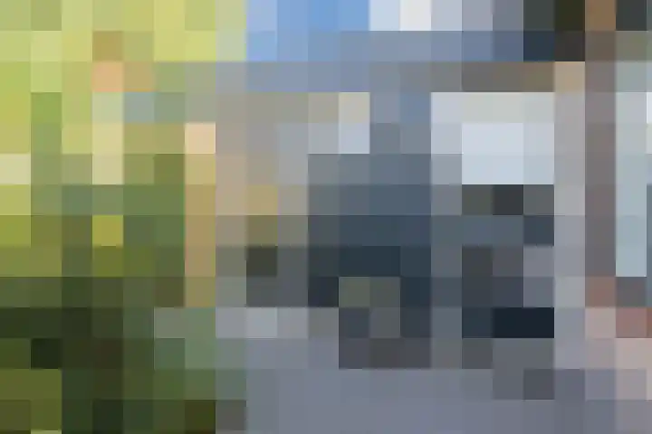 Molecaten 50 Barneveld thumbnail 30
