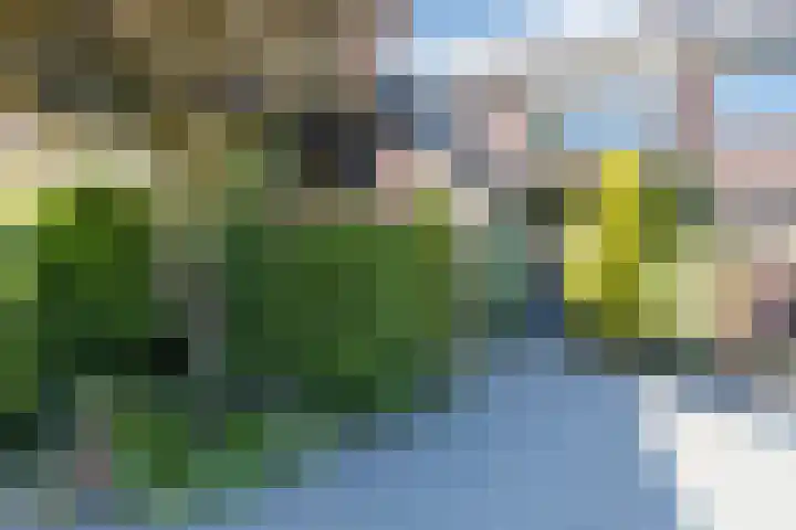 Molecaten 50 Barneveld thumbnail 31