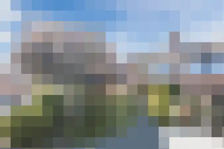 Molecaten 50 Barneveld thumbnail 32