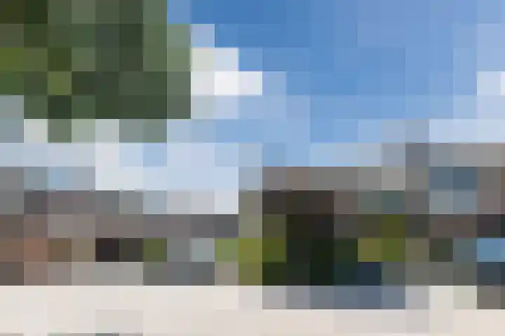 Molecaten 50 Barneveld thumbnail 33