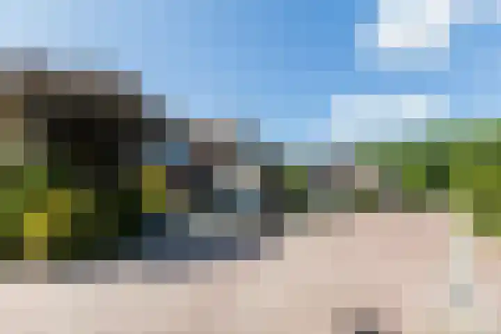 Molecaten 50 Barneveld thumbnail 34