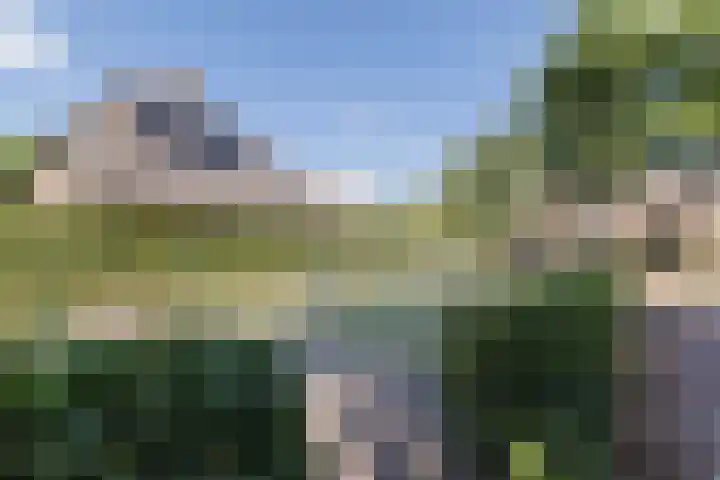 Molecaten 50 Barneveld thumbnail 36