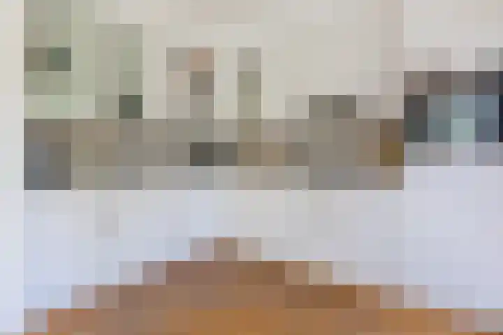 Molecaten 50 Barneveld thumbnail 6