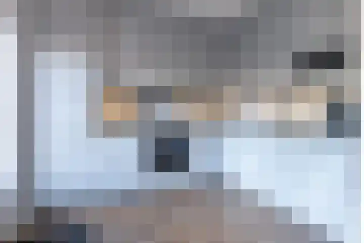 Molecaten 52 Barneveld thumbnail 12