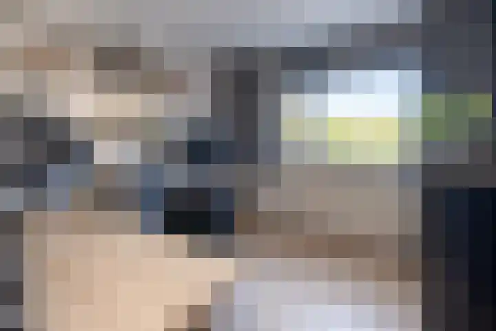 Molecaten 52 Barneveld thumbnail 17