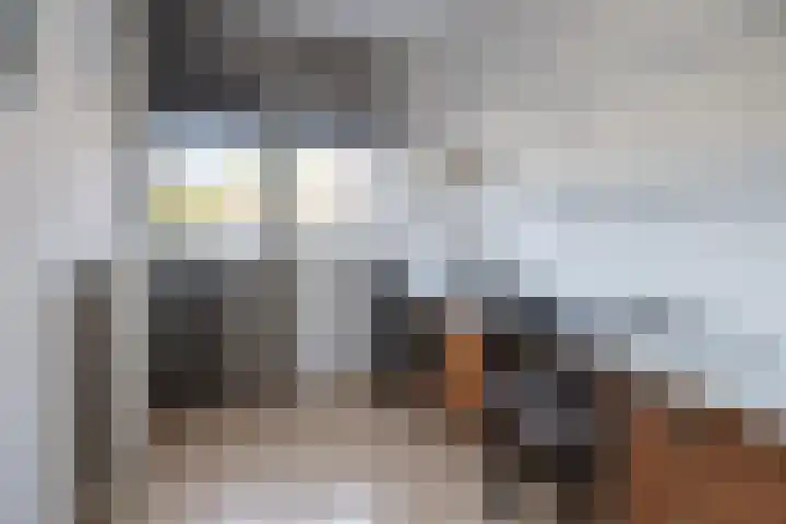 Molecaten 52 Barneveld thumbnail 19