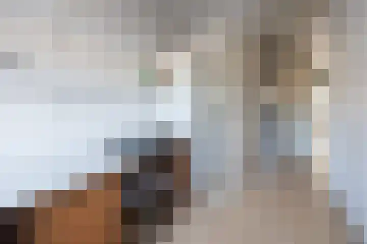 Molecaten 52 Barneveld thumbnail 20