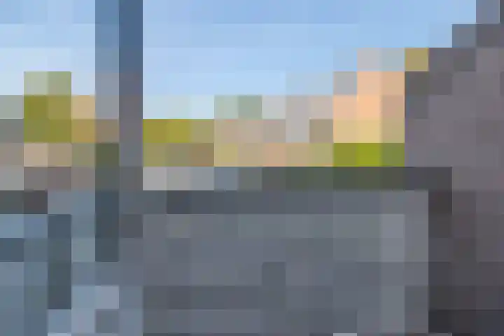 Molecaten 52 Barneveld thumbnail 21