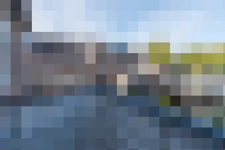 Molecaten 52 Barneveld thumbnail 22