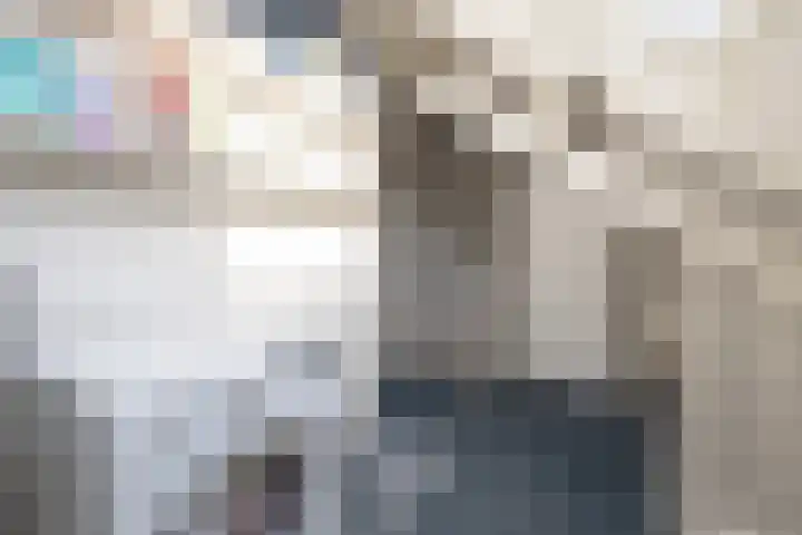 Molecaten 52 Barneveld thumbnail 25