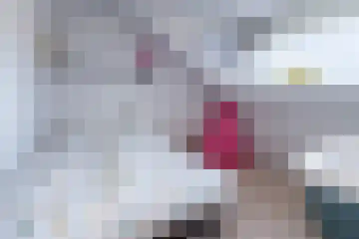 Molecaten 52 Barneveld thumbnail 26
