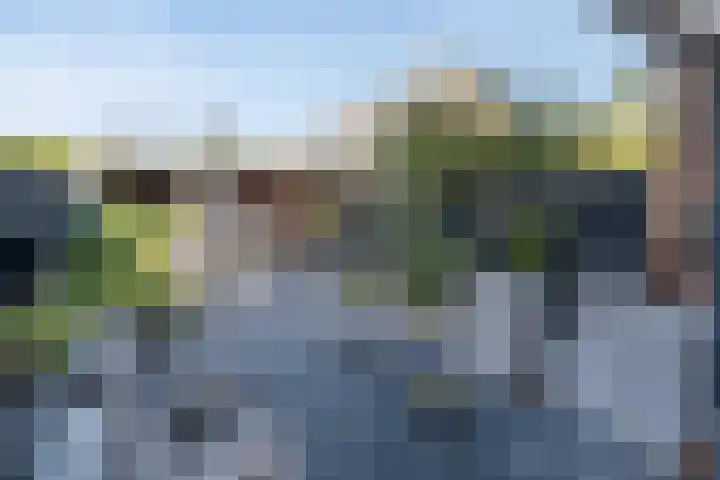 Molecaten 52 Barneveld thumbnail 31