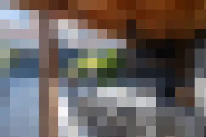 Molecaten 52 Barneveld thumbnail 34
