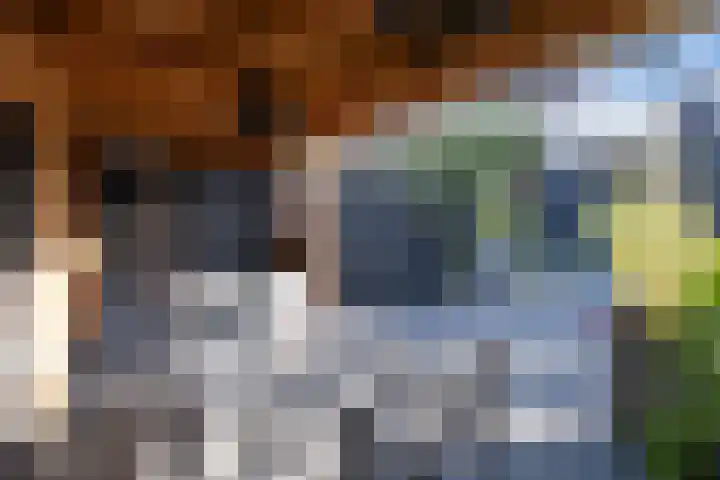 Molecaten 52 Barneveld thumbnail 35