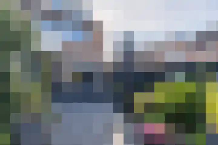 Molecaten 52 Barneveld thumbnail 38