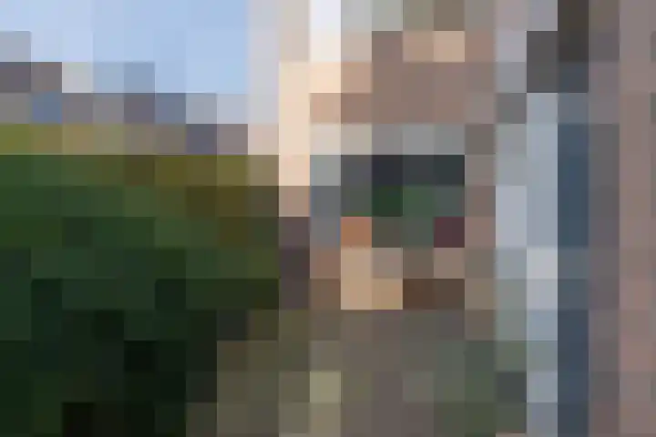 Molecaten 52 Barneveld thumbnail 40