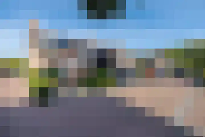 Molecaten 52 Barneveld thumbnail 42