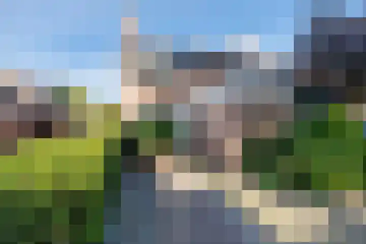 Molecaten 52 Barneveld thumbnail 44