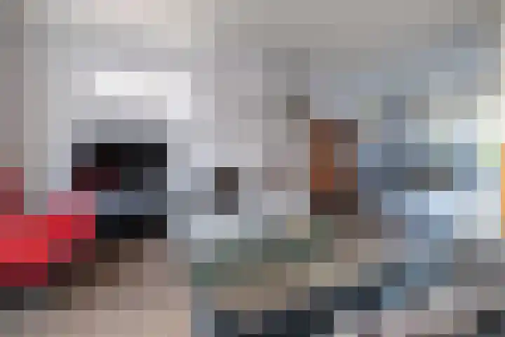 Molecaten 52 Barneveld thumbnail 5