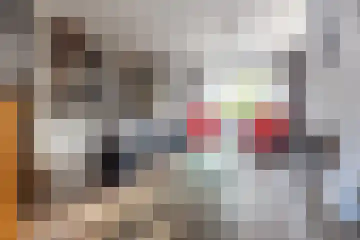 Molecaten 52 Barneveld thumbnail 6