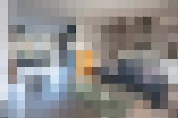 Molecaten 52 Barneveld thumbnail 8