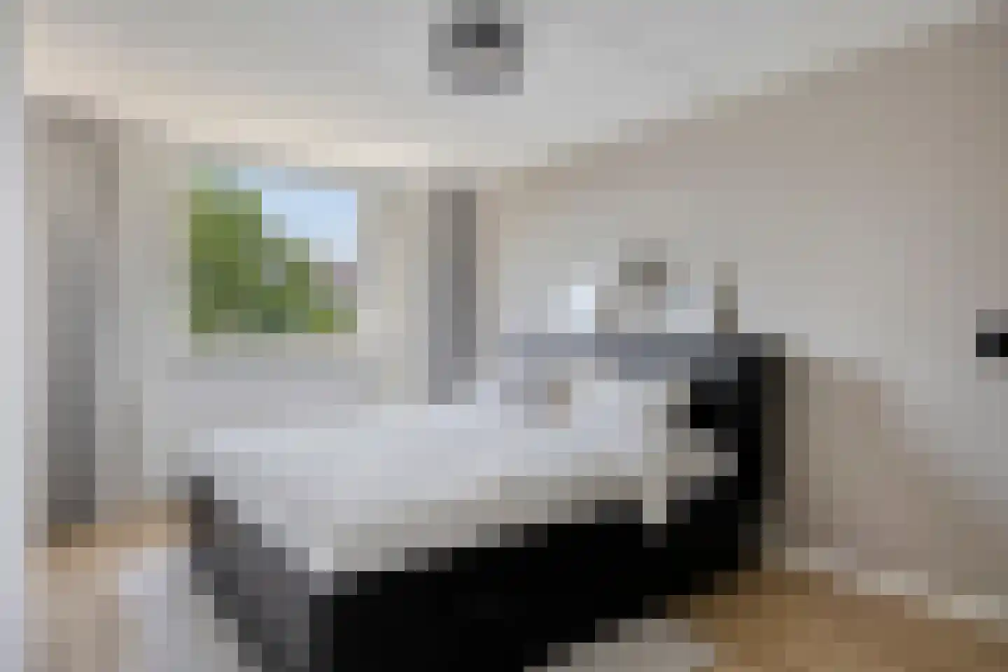 Molecaten 75 Barneveld thumbnail 13