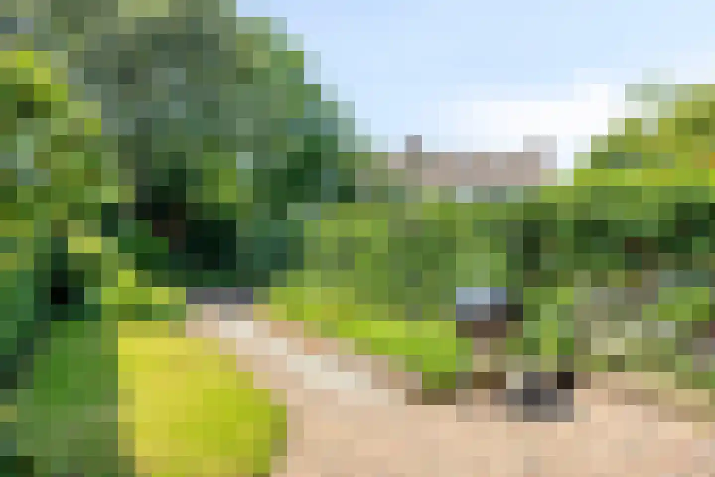Molecaten 75 Barneveld thumbnail 22