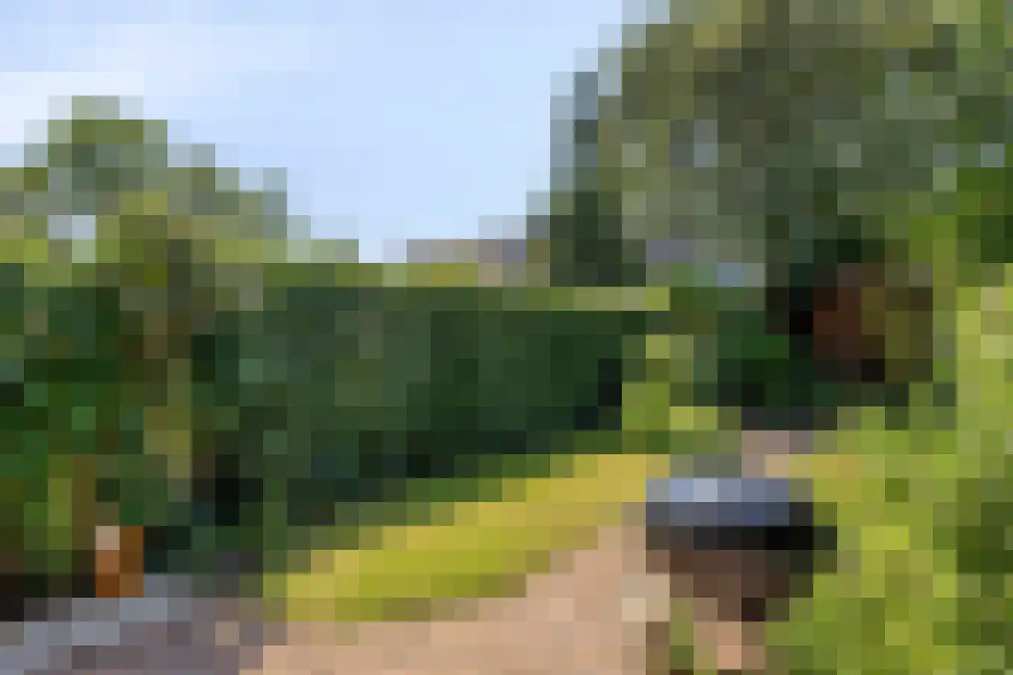 Molecaten 75 Barneveld thumbnail 23
