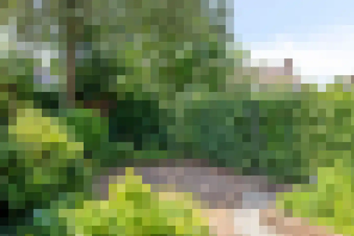 Molecaten 75 Barneveld thumbnail 25