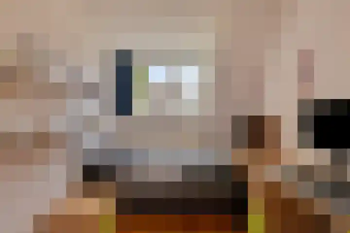 Molecatendreef 15 Helmond thumbnail 24
