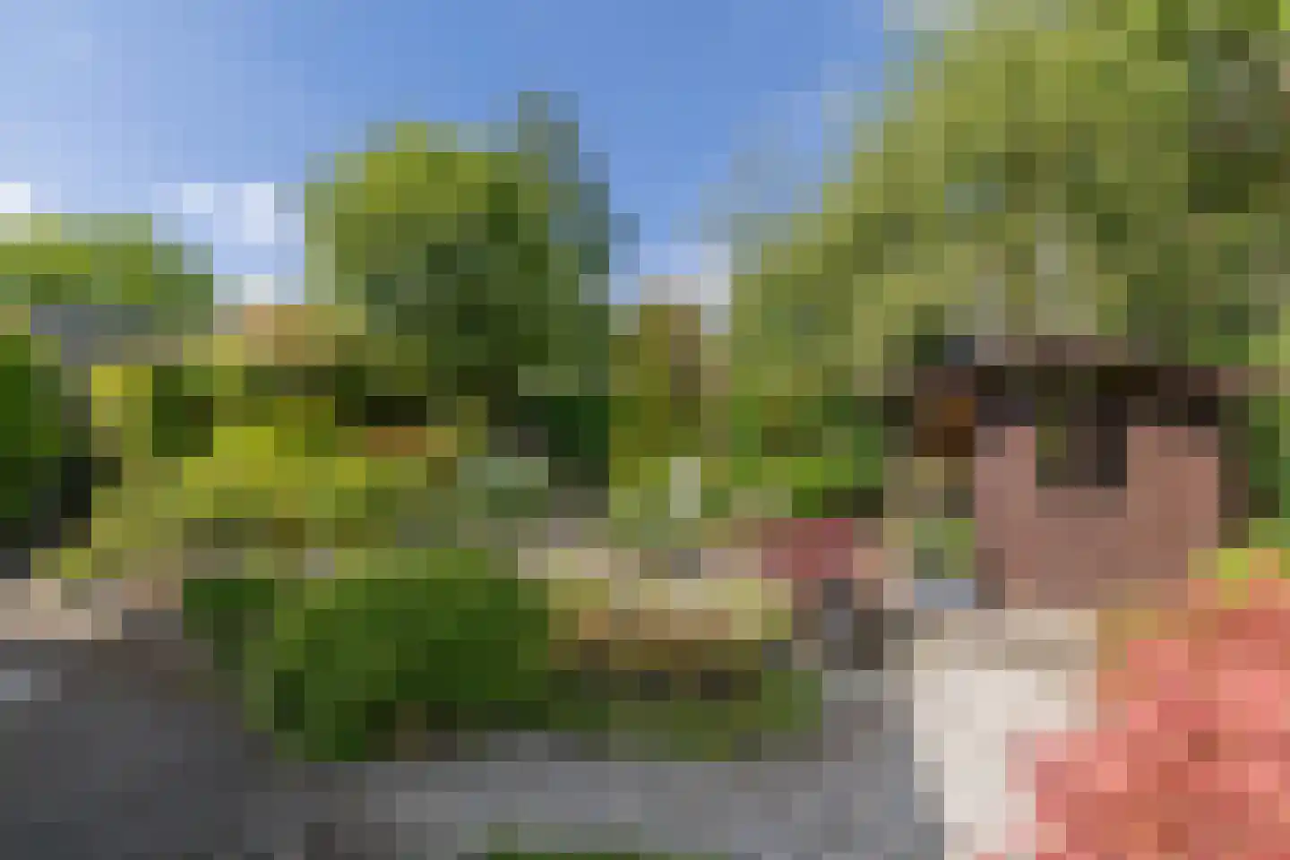 Molecatenlaan 76 Ugchelen thumbnail 11