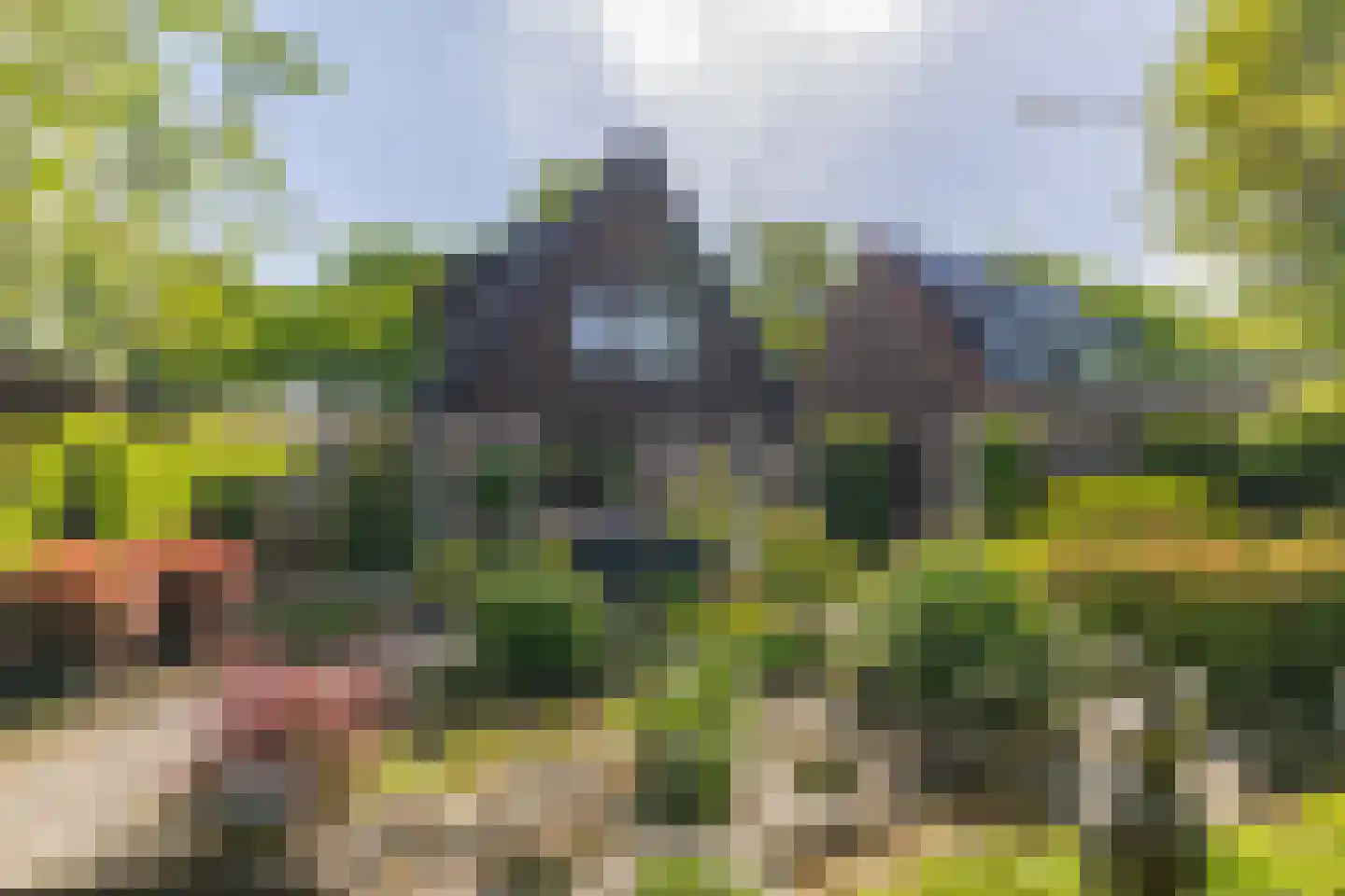 Molecatenlaan 76 Ugchelen thumbnail 12