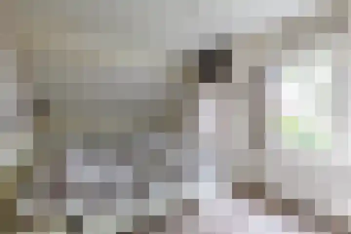 Molecatenlaan 86 Ugchelen thumbnail 13