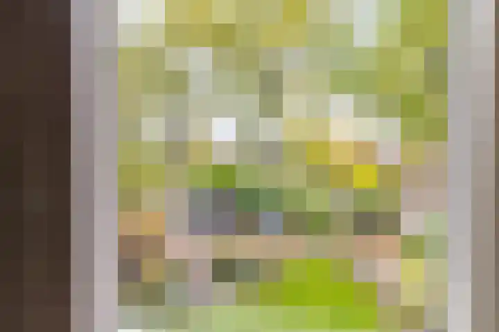 Molecatenlaan 86 Ugchelen thumbnail 14