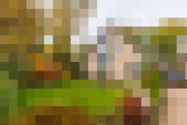 Molecatenlaan 86 Ugchelen thumbnail 20