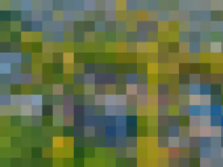 Molecatenlaan 86 Ugchelen thumbnail 22