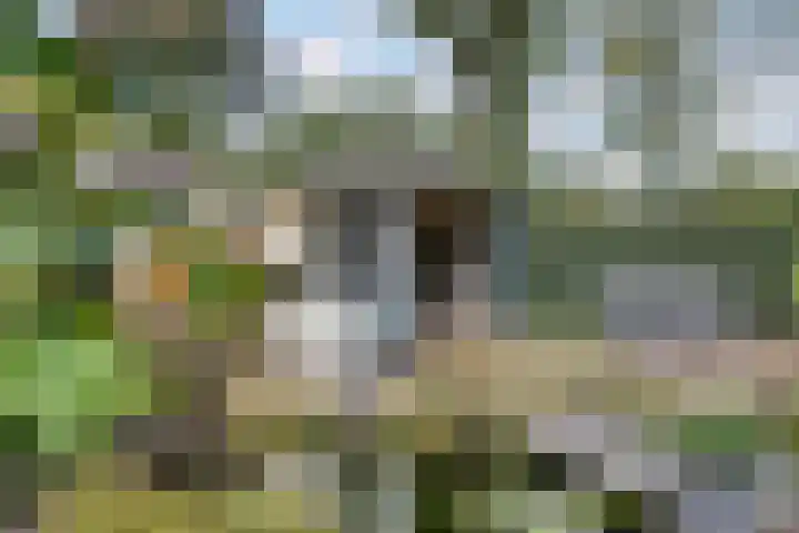 Molecatenlaan 86 Ugchelen thumbnail 23