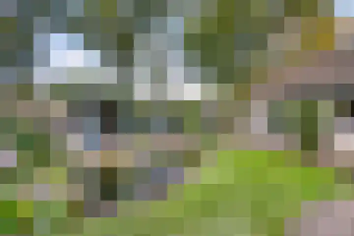 Molecatenlaan 86 Ugchelen thumbnail 24