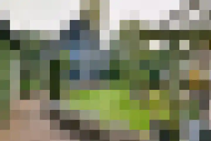 Molecatenlaan 86 Ugchelen thumbnail 25
