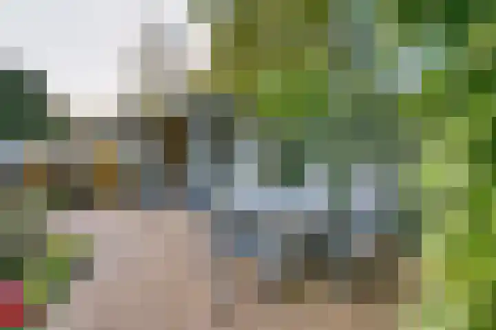 Molecatenlaan 86 Ugchelen thumbnail 26