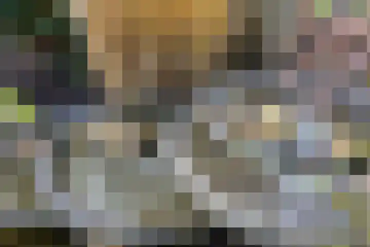 Molecatenlaan 86 Ugchelen thumbnail 27