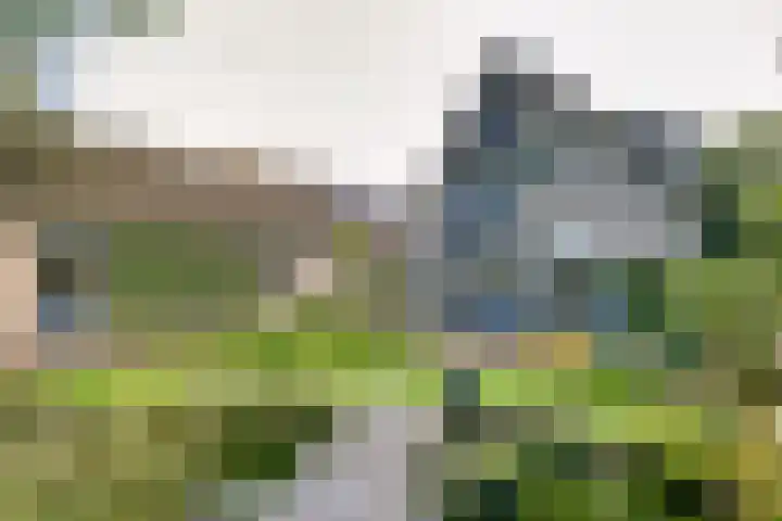Molecatenlaan 86 Ugchelen thumbnail 28