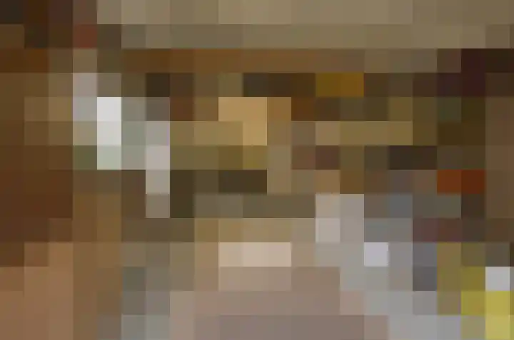 Molecatenlaan 86 Ugchelen thumbnail 30