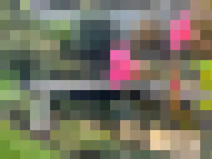 Molecatenlaan 86 Ugchelen thumbnail 32