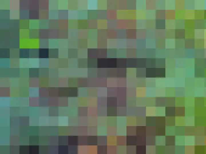 Molecatenlaan 86 Ugchelen thumbnail 34