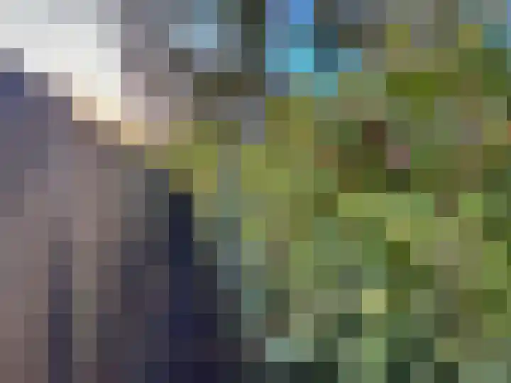 Molecatenlaan 86 Ugchelen thumbnail 35